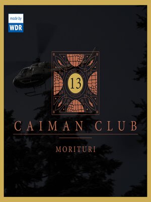 cover image of 13